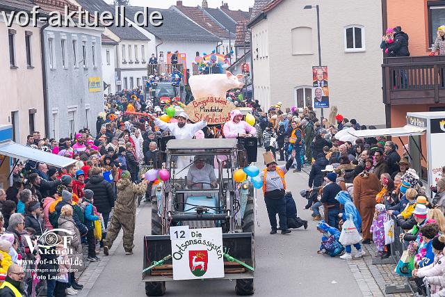 Foto Laudi_Pleintinger_Faschingszug-206105.jpg